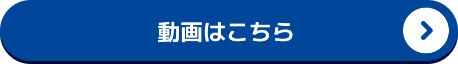 動画はこちら